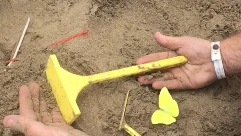 A butterfly visits a sandcastle build in progress